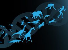 Evolution Is Not As Unpredictable As Previously Thought