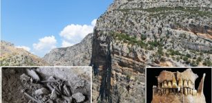 Unusual Neolithic Burial From Grotta Di Pietra Sant' Angelo Puzzles Archaeologists