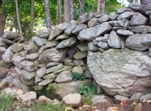 New England's Abandoned Stone Walls Deserve A Science Of Their Own