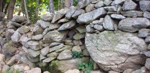 New England's Abandoned Stone Walls Deserve A Science Of Their Own