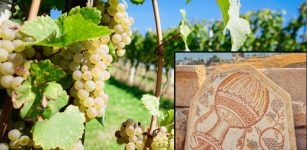 Ancient Roman Wine Production May Hold Clues For Battling Climate Change