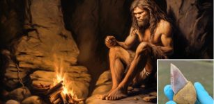 Neanderthals Had Higher Cognitive Abilities Than Previously Thought - Glued Stone Tools Reveal