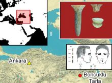 Evidence Of Stone Age Ear and Lip Piercing Found At Boncuklu Tarla Neolithic Site In Türkiye