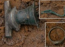 Four Roman-Era Brooches And A Ring Found In The Borki Forest, Poland