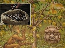 Cacao Was Cultivated By Cultures Along The Pacific Coast Around 5,000 Years Ago - New Study