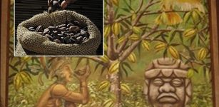 Cacao Was Cultivated By Cultures Along The Pacific Coast Around 5,000 Years Ago - New Study