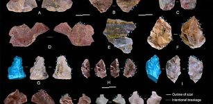 New Tool-Making Timeline For East Asian Hominins - Study