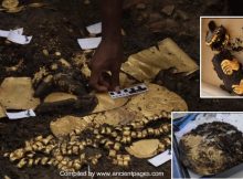 Coclé Lord's Amazing Tomb Filled With Gold Treasures Found In El Caño, Panama