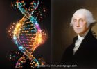 DNA Identifies Historical Remains Of George Washington's Relatives