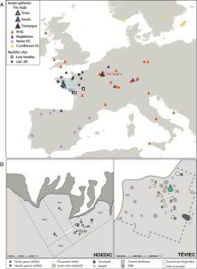 DNA Reveals Stone Age People Avoided Inbreeding - Ancient Pages