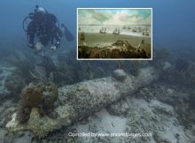 Sunken 18th Century British Warship HMS Tyger Found In The Dry Tortugas National Park, Florida