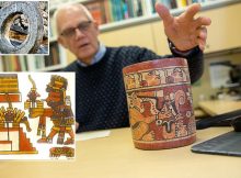 Ancient Maya Ballcourts And Evidence Of Ceremonial Plant Species Offerings