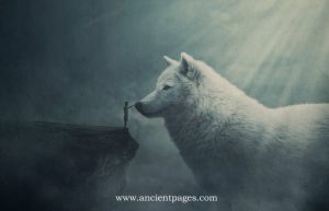 Fylgja - Norse Guardian Spirit Was Deeply Respected - Ancient Pages