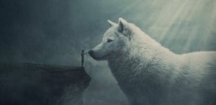 Fylgja – Norse Guardian Spirit Was Deeply Respected
