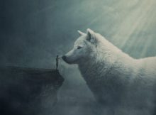 Fylgja - Norse Guardian Spirit Was Respected And Feared