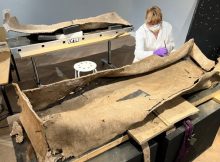 Ancient Roman Coffin Found In Leeds Revealed To The Public For The First Time
