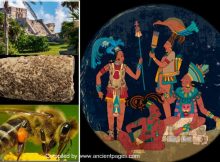 Melipona Beecheii - Sacred Ancient Maya Beekeeping Site Discovered In Quintana Roo, Mexico