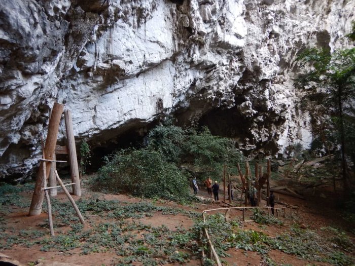 DNA Sheds Light On The Iron Age Log Coffin Culture In Pang Mapha, Thailand?