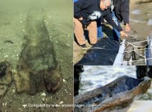 11 Ancient Submerged Canoes Found In Wisconsin's Lake Mendota - Evidence Of A Lost Village?