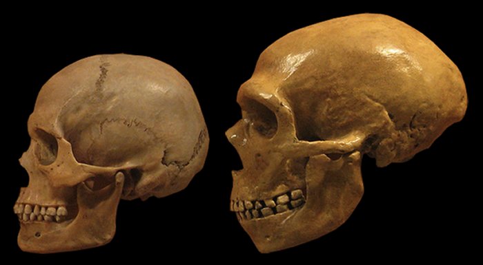 How Neanderthal Language Differed From Modern Human - They Probably Didn't Use Metaphors