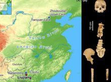 Re-Evaluation Of Dating of the Liujiang skeleton Sheds New Light On Timeline Of Human Occupation In China