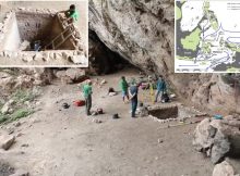 A Rare Find In Ancient Timorese Mud May Rewrite The History Of Human Settlement In Australasia