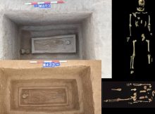 Evidence Of Yue - Ancient Chinese Criminal Punishment Found At Sanmenxia City