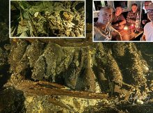 A 19th-Century Sailing Ship Loaded With Champagne, Wine, Porcelain And Mineral Water Found At The Bottom Of The Baltic Sea