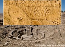 World's Oldest Lunisolar Calendar May Have Been Discovered At Göbekli Tepe, Turkey