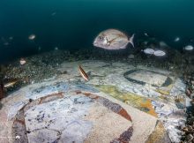 Amazing Ancient Roman Marble Floor Found In The Underwater City Of Baiae, Italy