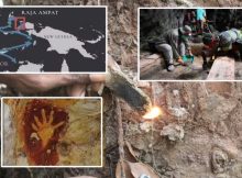 New West Papua Findings Provide Insights Into Early Human Migration To The Pacific
