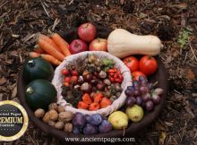 Mabon Festival And The Autumn Equinox Celebrated By Pagans