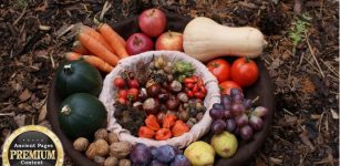 Mabon Festival And The Autumn Equinox Celebrated By Pagans
