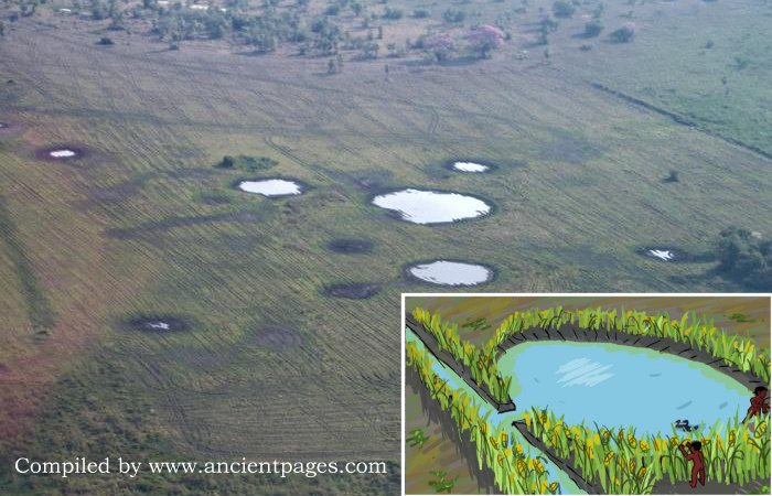 Pre-Columbian Casarabe People In The Amazon Developed A Unique Drainage And Irrigation System