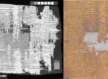 Newly Discovered Papyrus Reveals An Intriguing And Gripping Criminal Case From The Roman Empire