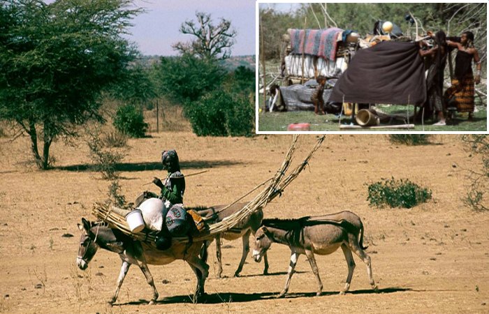 Fulani: One Of Africa's Largest Pastoral Populations - New Study