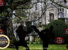 Baffling Unexplained Encounters With Tiny Mysterious Creatures Feeding On Energy