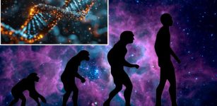 Ancient DNA Reveals Humans Descended From At Least Two Ancestral Populations, Not Just One