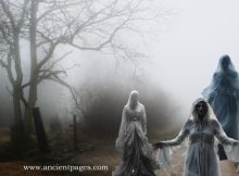 Elusive Legendary Mist Witches Who Can Be As Wise As Dangerous