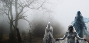 Elusive Legendary Mist Witches Who Can Be As Wise As Dangerous