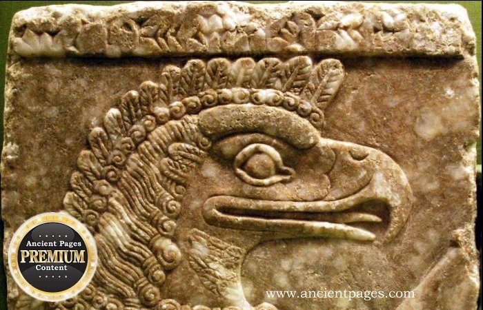 Adapa - Why Did The Wise Apkallu Refuse The Gift Of Immortality?