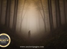 Orang Bunian: Mysterious Invisible Whistle People Living In Forests In Malay Folklore