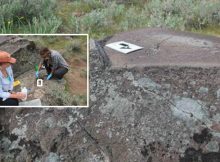 Ancient Stone Kitchens And Unlocking A Treasure Trove Of Culinary Secrets