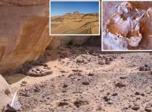 Ancient DNA From The Green Sahara Reveals North African Lineage - Study