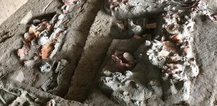 4, 000-Year-Old Teeth Show The Earliest Evidence Of Chewing Psychoactive Betel Nuts