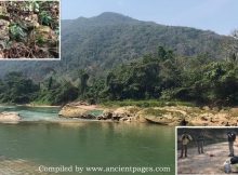 Lacandon People's Last Stronghold - Lost Maya City Of Sak-Bahlan Found In The Mexican Jungle