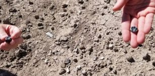 Fossils Suggesting New Species Of Ancient Humans - New Discovery