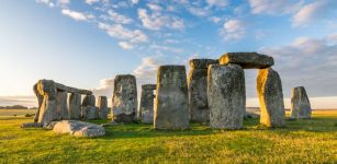 Neolithic Cow Tooth And Evidence Linking Cattle Remains From Stonehenge To Wales
