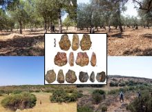 A Presently Submerged Land Bridge Could Help Early Human Move From Turkey To Europe 