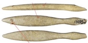 Oldest Hippopotamus Ivory Object Found In The Iberian Peninsula